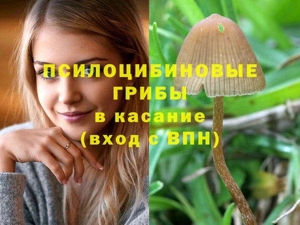 гашиш Абаза