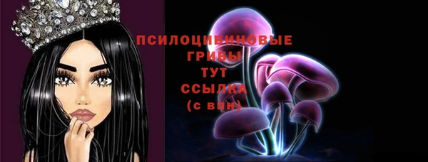 гашиш Абаза