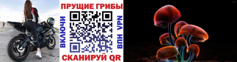 Псилоцибиновые грибы мухоморы  Таганрог 