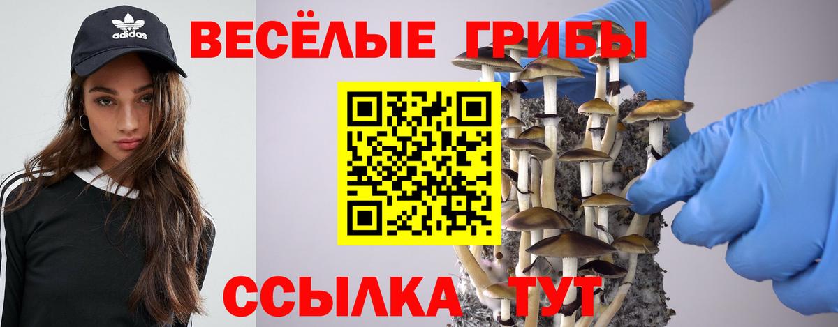 Псилоцибиновые грибы мухоморы  Вход с VPN  где найти наркотики  Псилоцибиновые грибы Psilocybe  Таганрог 